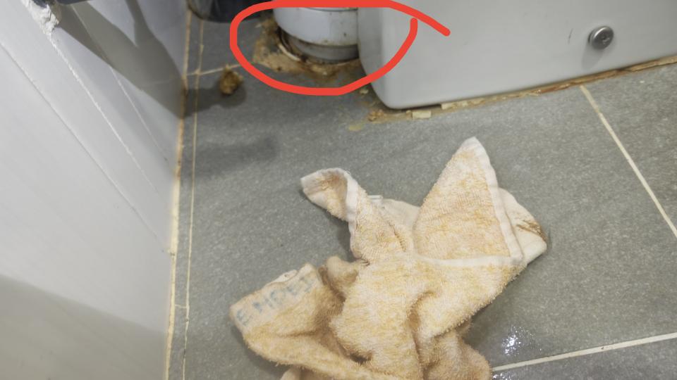 Toilet Installation & RepairJob photo