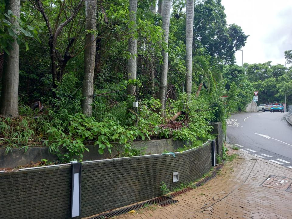 小型裝修工程工作照片