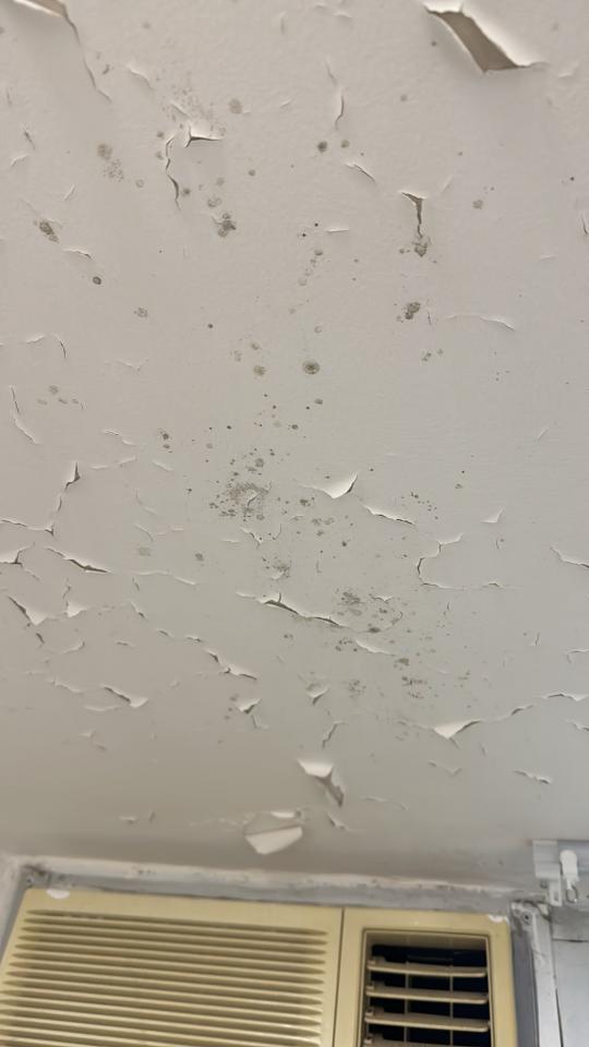 油漆工程工作照片