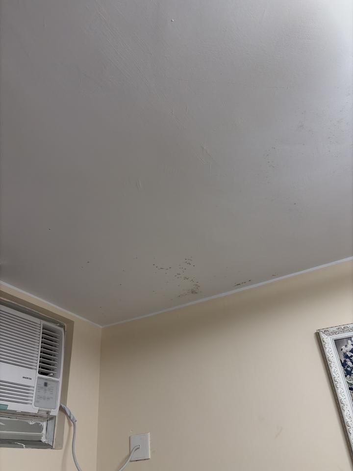 除霉工作照片