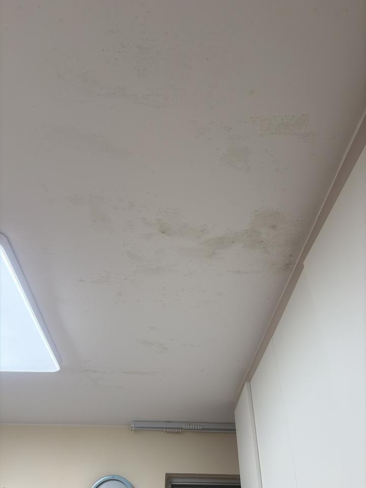 除霉工作照片