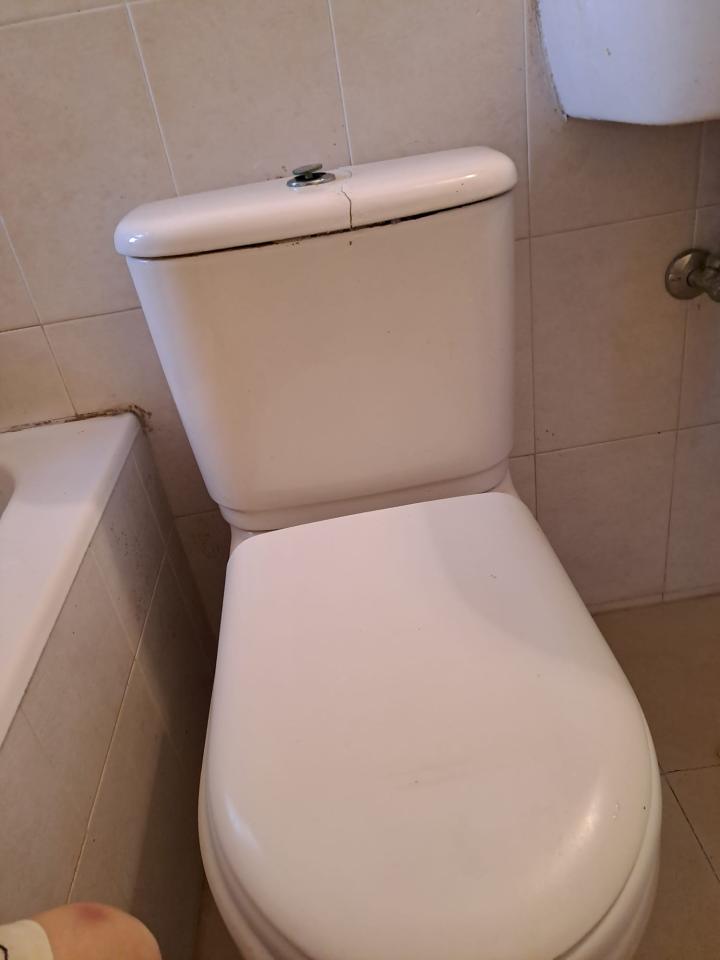 馬桶安裝工作照片