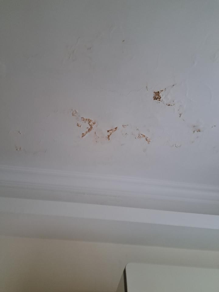 油漆工程工作照片