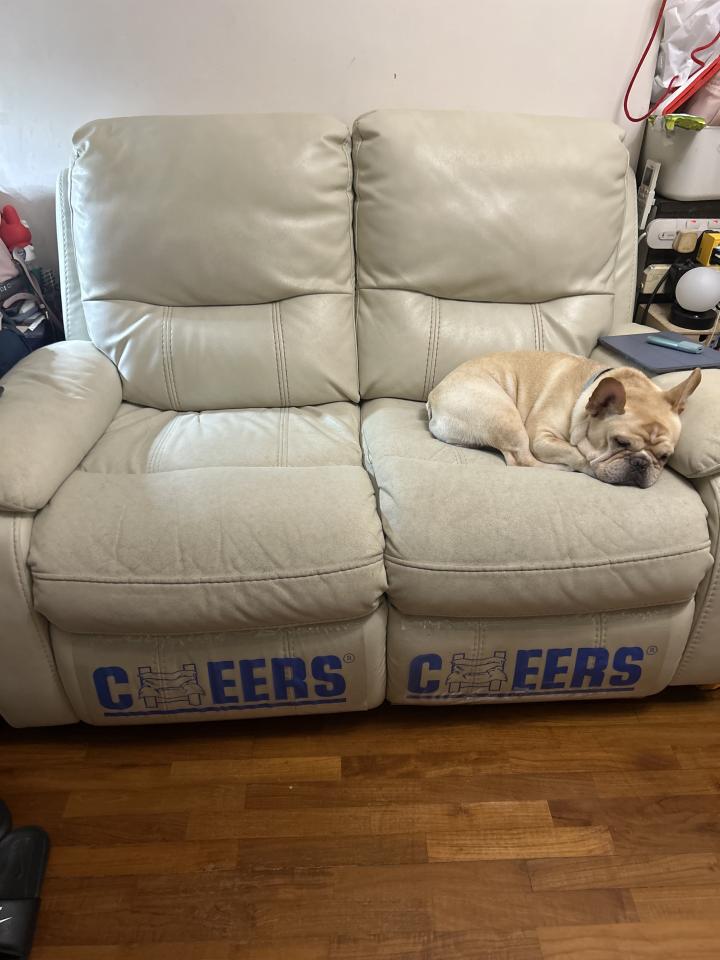 Furniture RepairJob photo