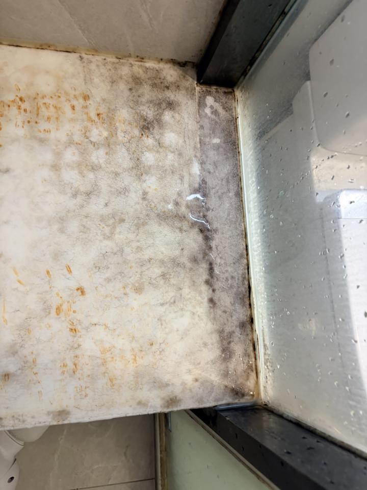 Mold RemovalJob photo