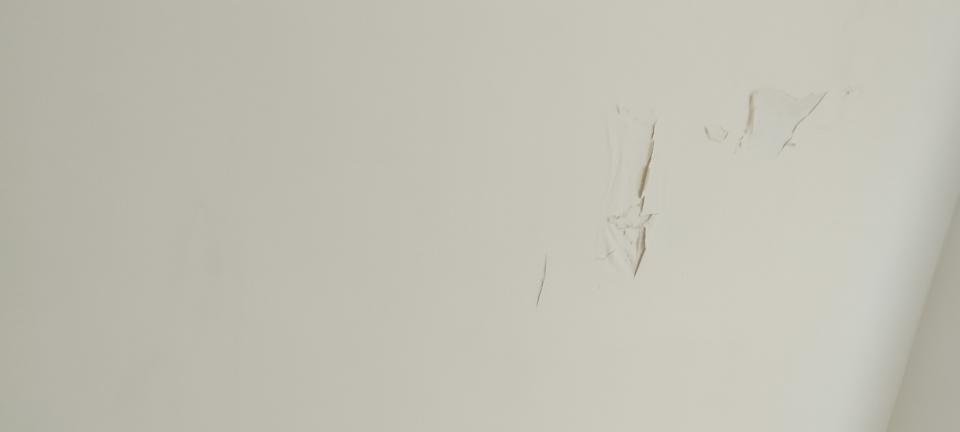 Wall PaintingJob photo