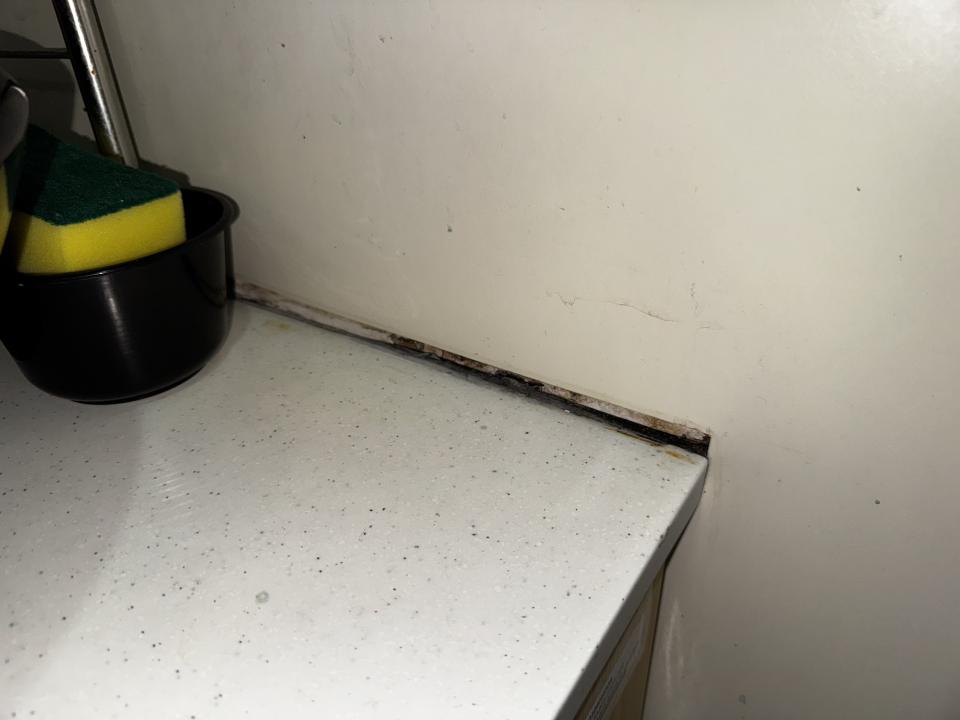 Bathroom Sink Installation & RepairJob photo
