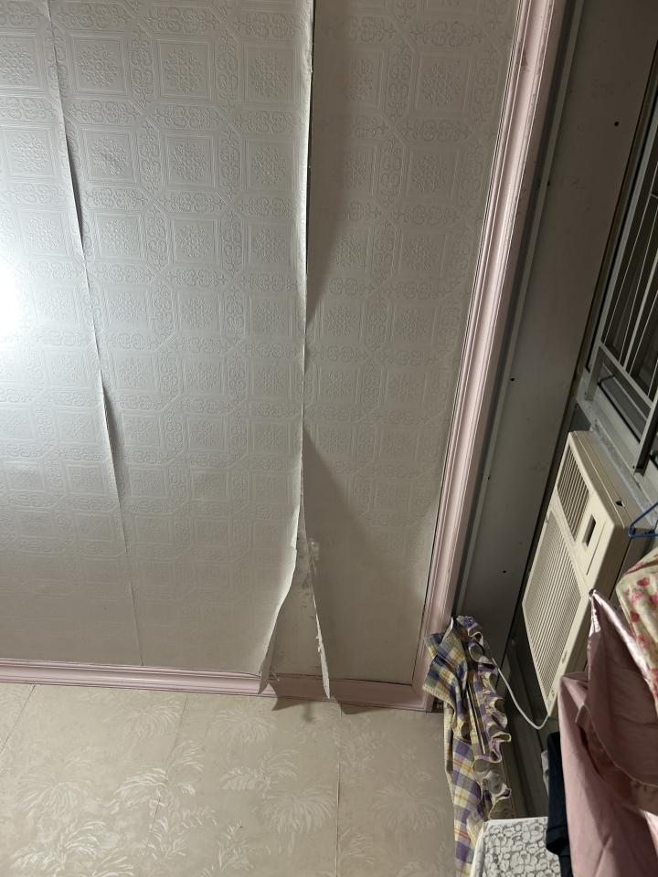 WallpaperJob photo