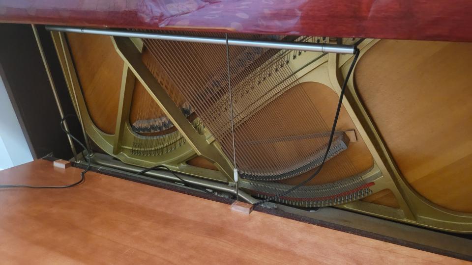 Piano Tuning & RepairJob photo