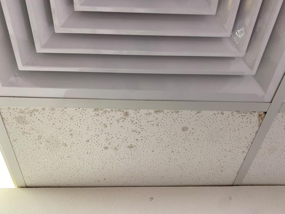 Ceiling RenovationJob photo