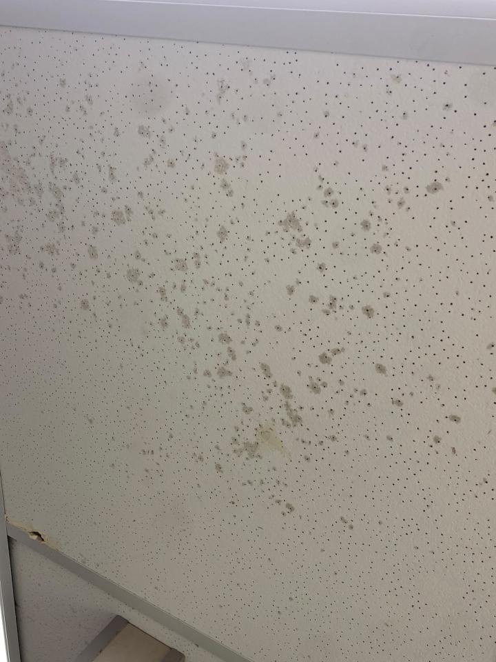 Ceiling RenovationJob photo