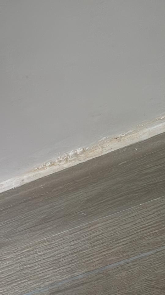 Electricity & PlumbingJob photo