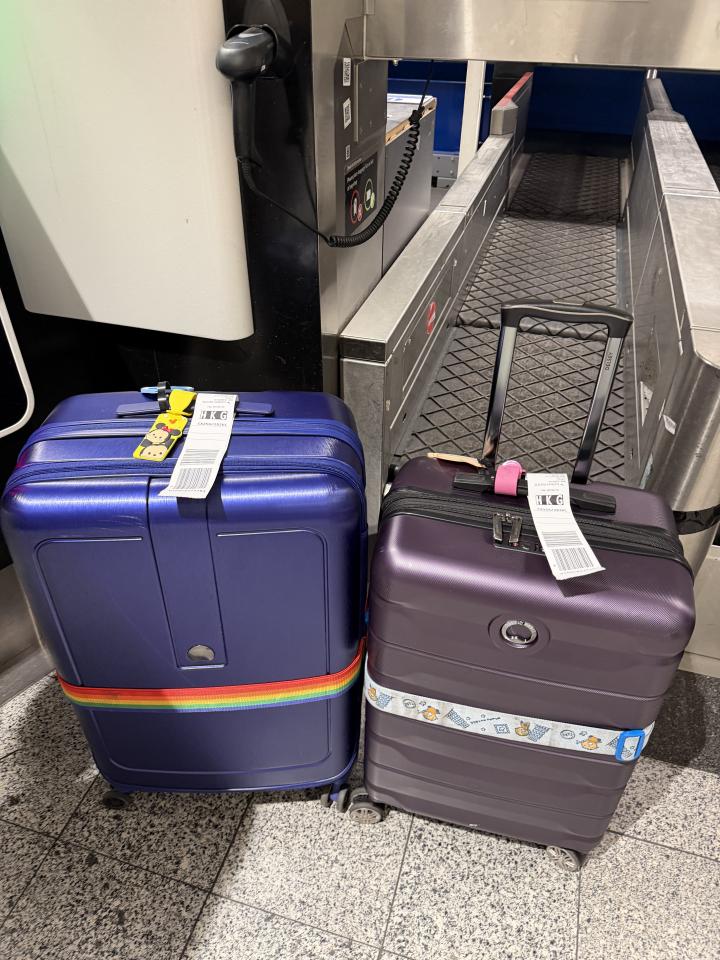 Luggage RepairJob photo