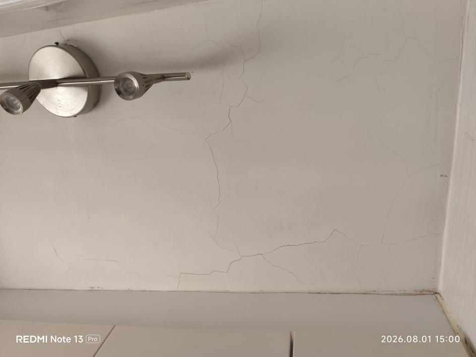 Wall PaintingJob photo