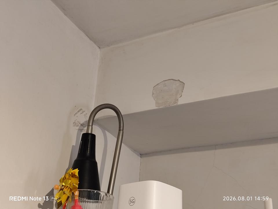 Wall PaintingJob photo