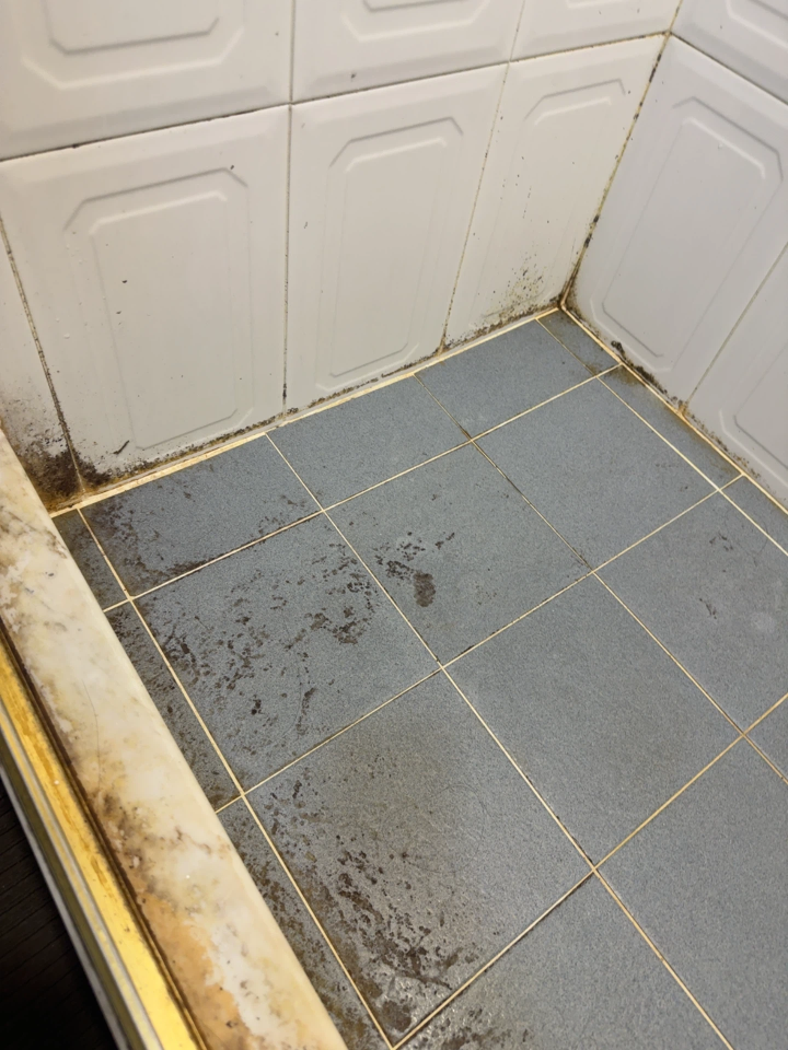 Mold RemovalJob photo