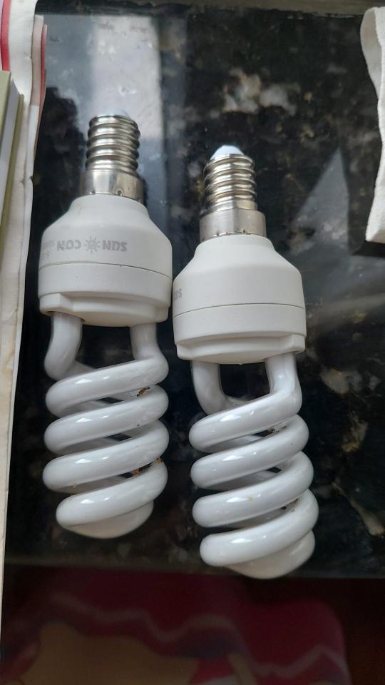 Lighting InstallationJob photo