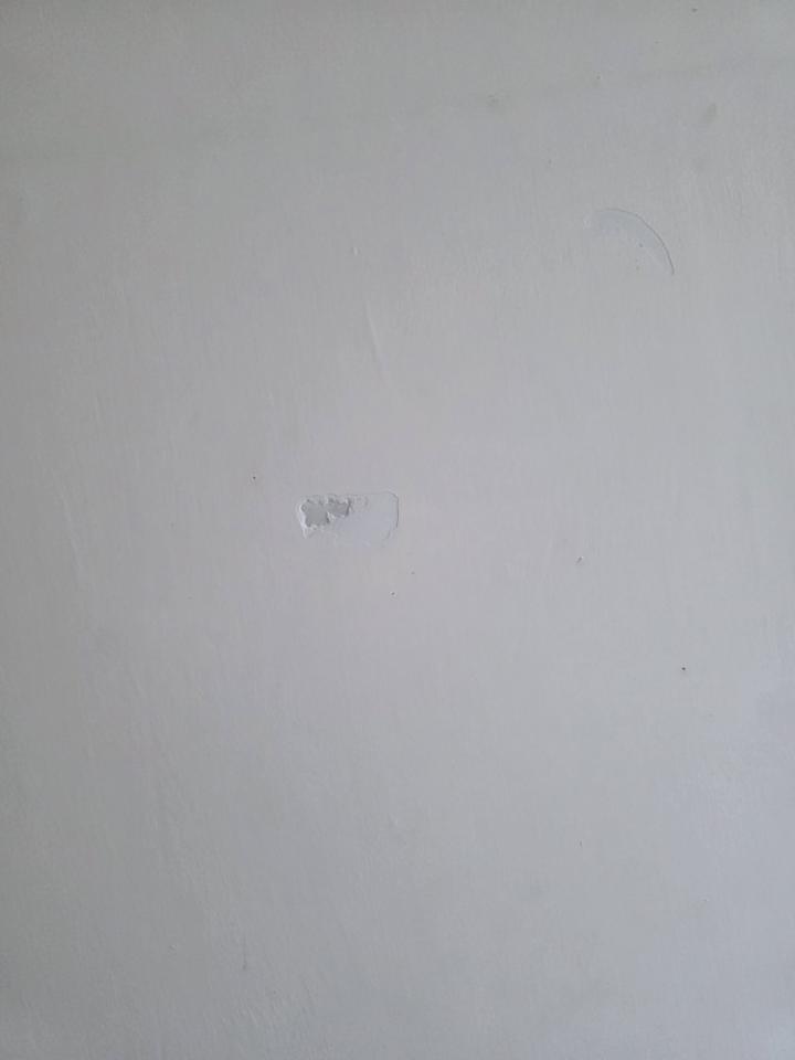 Wall PaintingJob photo