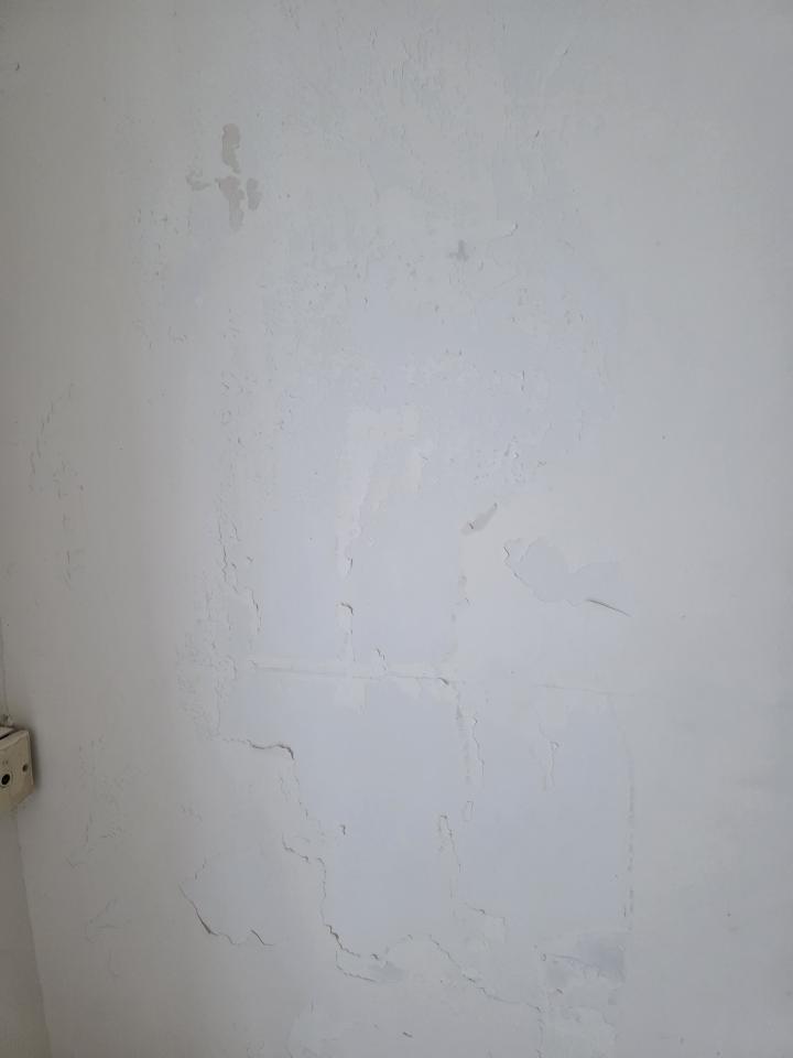 Wall PaintingJob photo