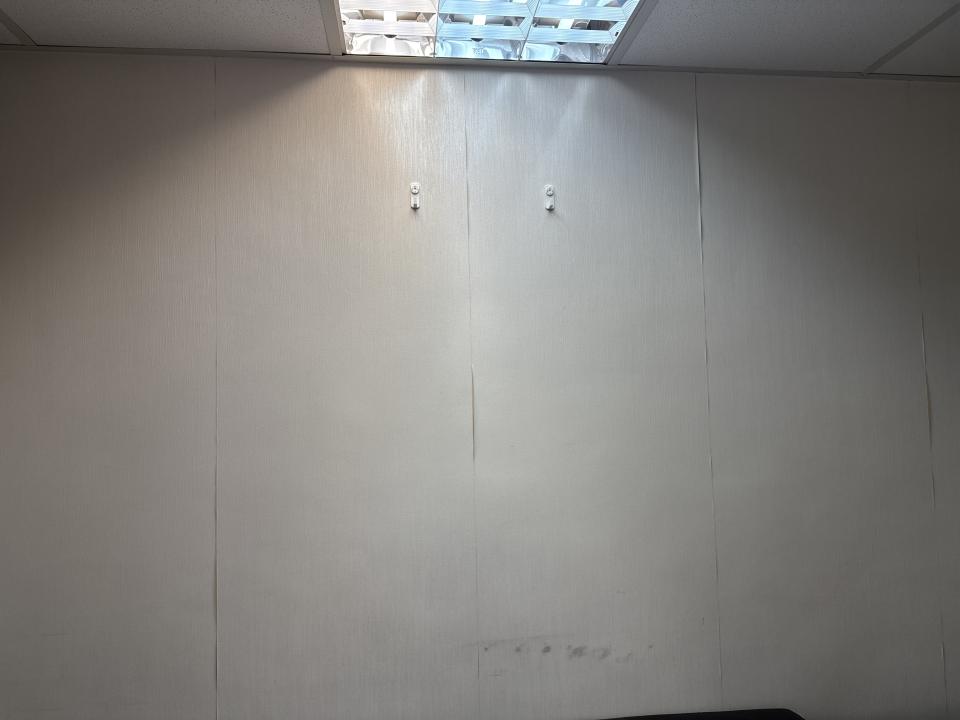 Wall PaintingJob photo