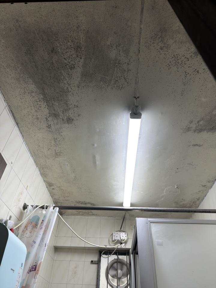 Wall PaintingJob photo