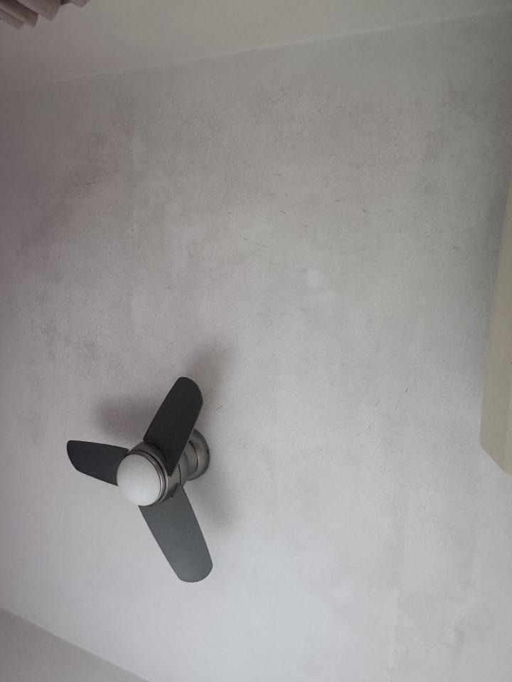 Mold RemovalJob photo