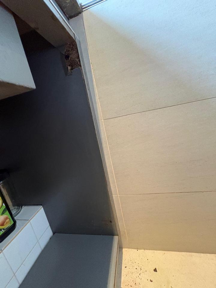 Furniture RepairJob photo