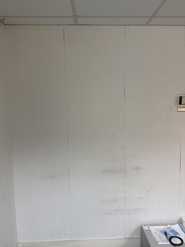 Wall PaintingJob photo