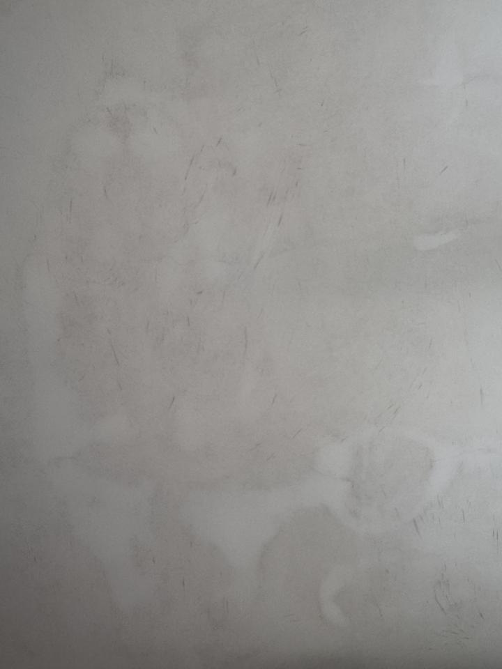Mold RemovalJob photo
