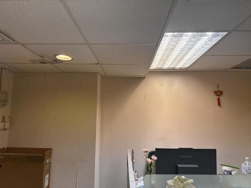 Wall PaintingJob photo