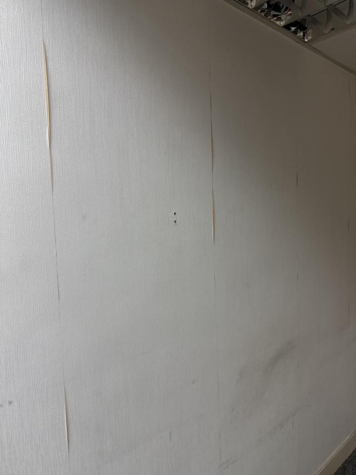 Wall PaintingJob photo