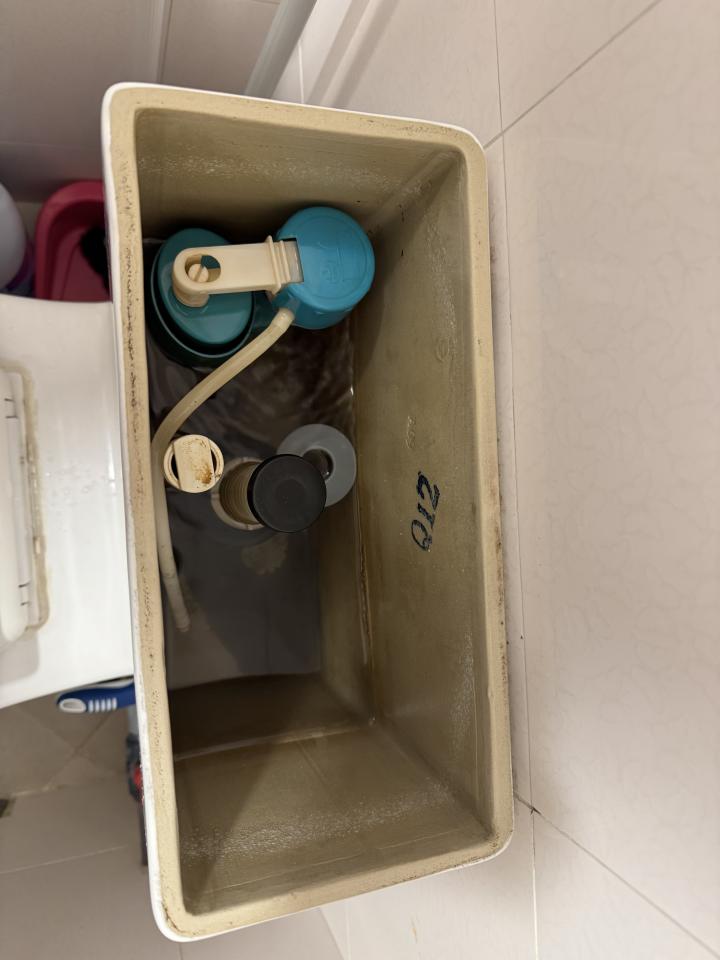 Toilet Installation & RepairJob photo