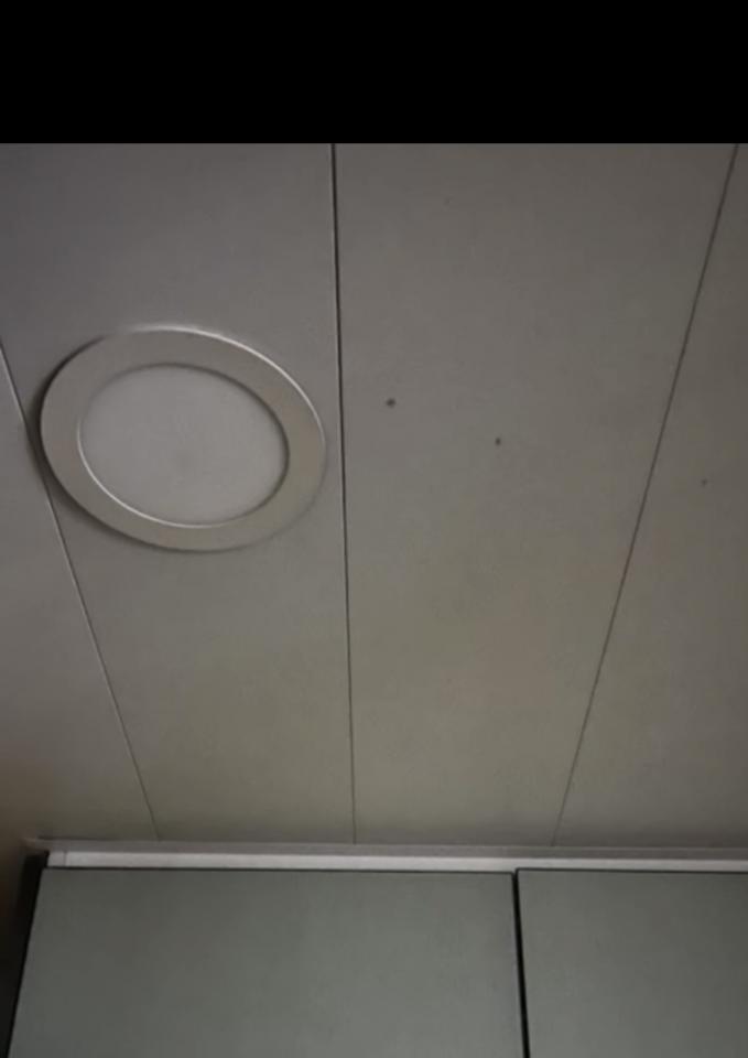 燈飾維修工作照片