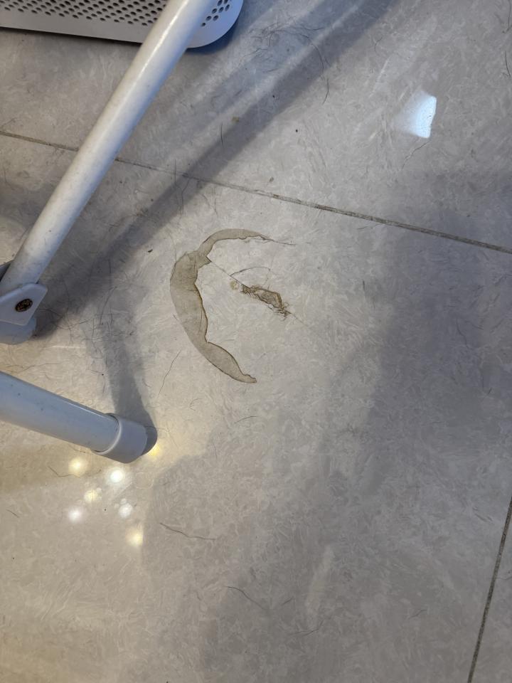磁磚維修工作照片