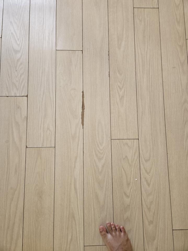 地板維修工作照片