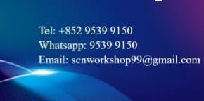 SCN Workshop