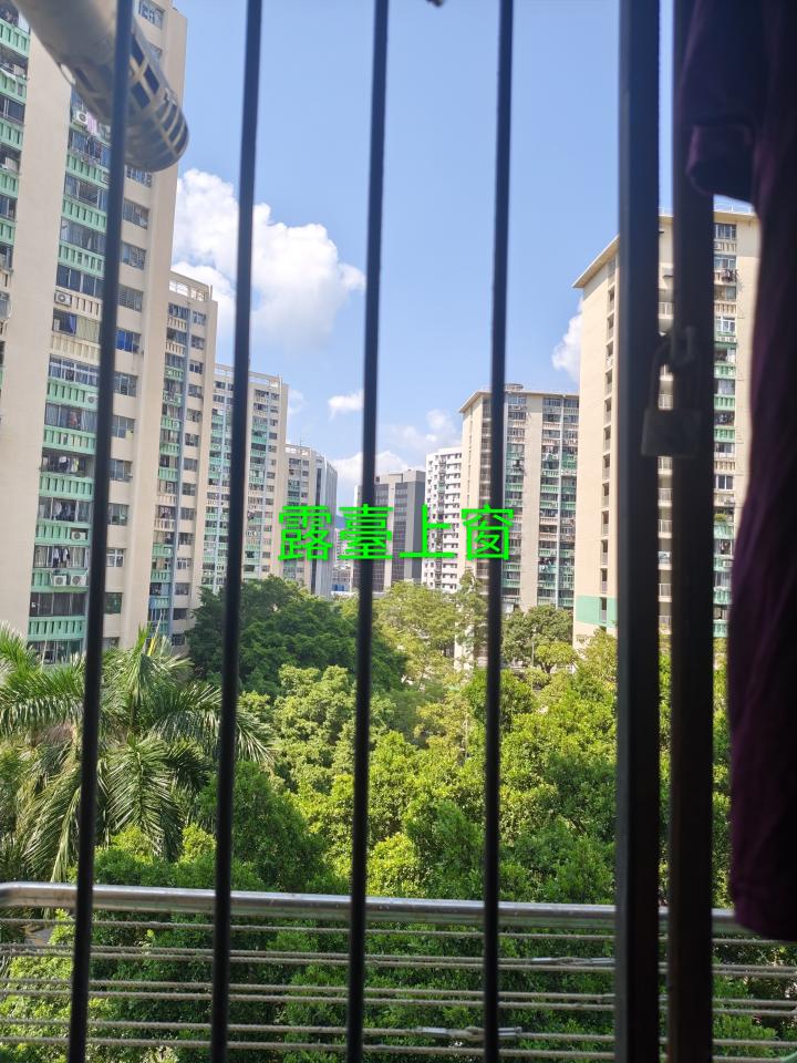 Cat Proof Window Grille and GateJob photo