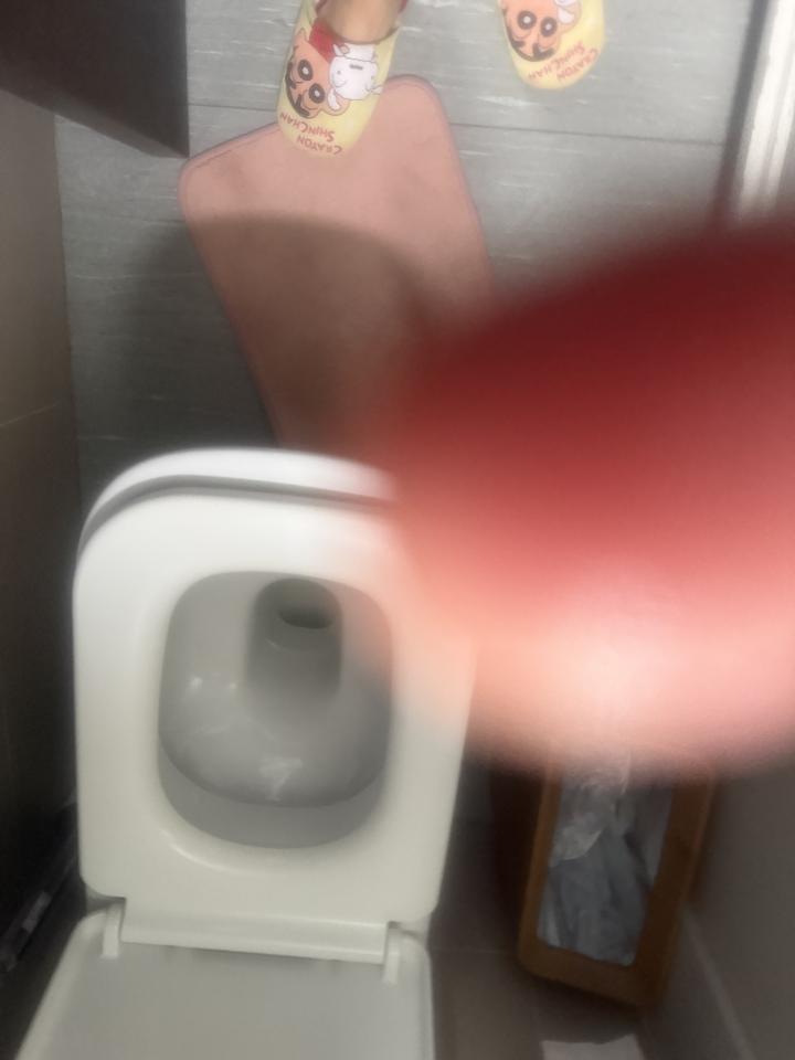 馬桶安裝工作照片