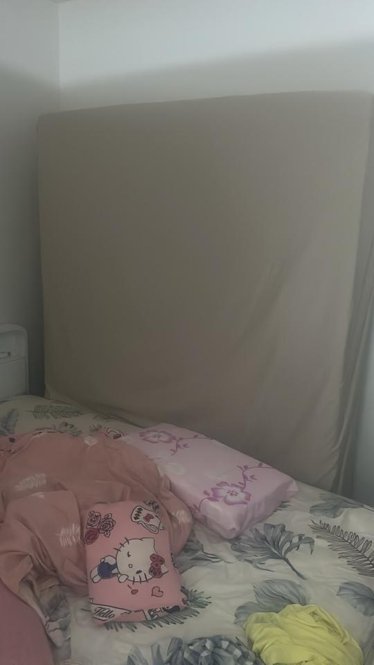 搬運服務工作照片