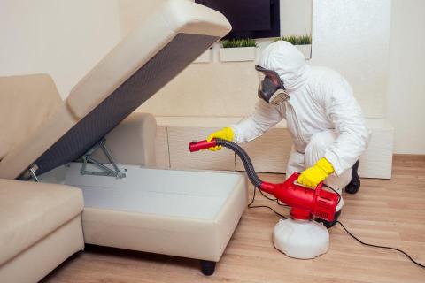 Top Service Cleaning - 醫療級霧化消毒 及 長效抗菌塗層 Top Service Cleaning - 醫療級霧化消毒 及 長效抗菌塗層