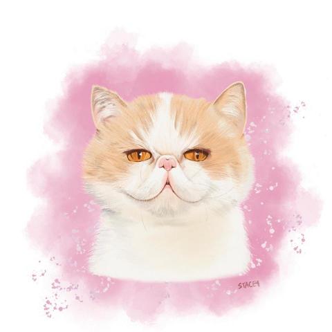 Stacey Lo - 手電繪