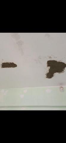 Shu hang Cheung - 油漆執灰翻油 畫剷底批灰油油 修補剝落的石屎