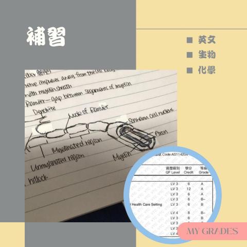 Busy Bee - 補習科目 Busy Bee - 補習科目