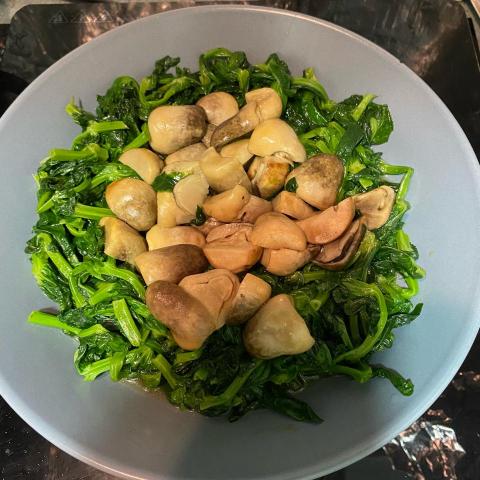 Mandy Ng -  Mandy Ng -