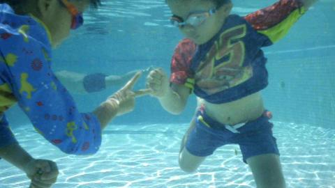 Shimmering Swimming  - 