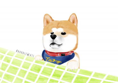 Renilai -  Renilai -