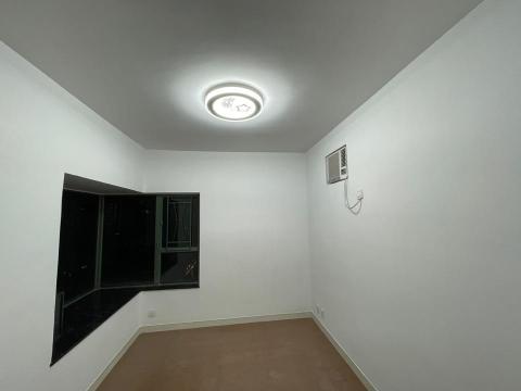 owlsome_painting  -  owlsome_painting  -