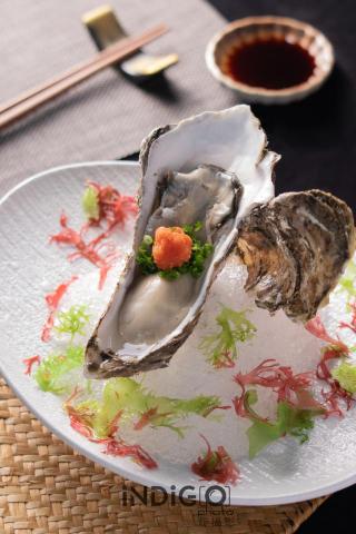 INDIGO PHOTO -  INDIGO PHOTO -