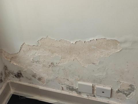 海豚油漆工程 - 