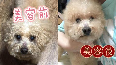 Beautiful pay - 我的作品